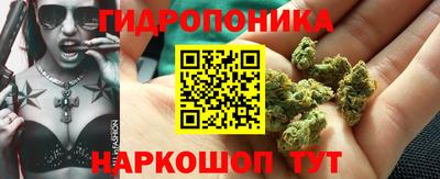 СК Обнинск