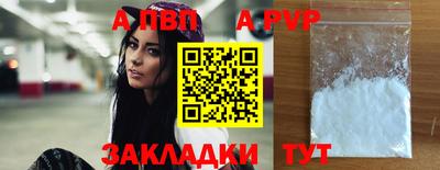 ECSTASY Новозыбков