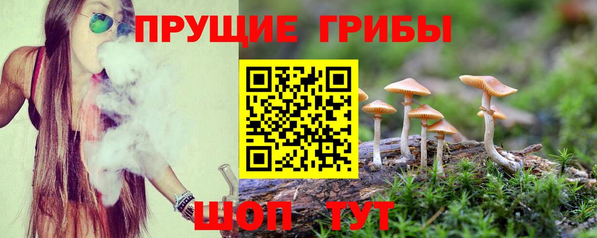 Псилоцибиновые грибы GOLDEN TEACHER Сибай